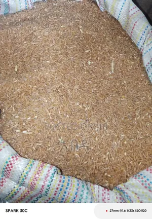 የተለያዩ የእህል ምርቶች እኛጋ ይገኛሉ