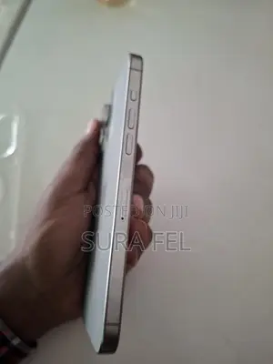 Apple iPhone 15 Pro Max 1 TB Gray