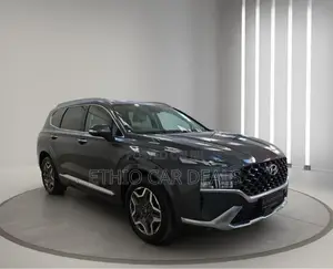 Hyundai Santa Fe 2024 Matt Black