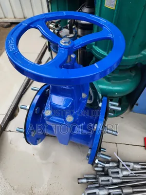 Flanged Gate Valve