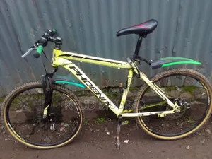 Bicycle Bike