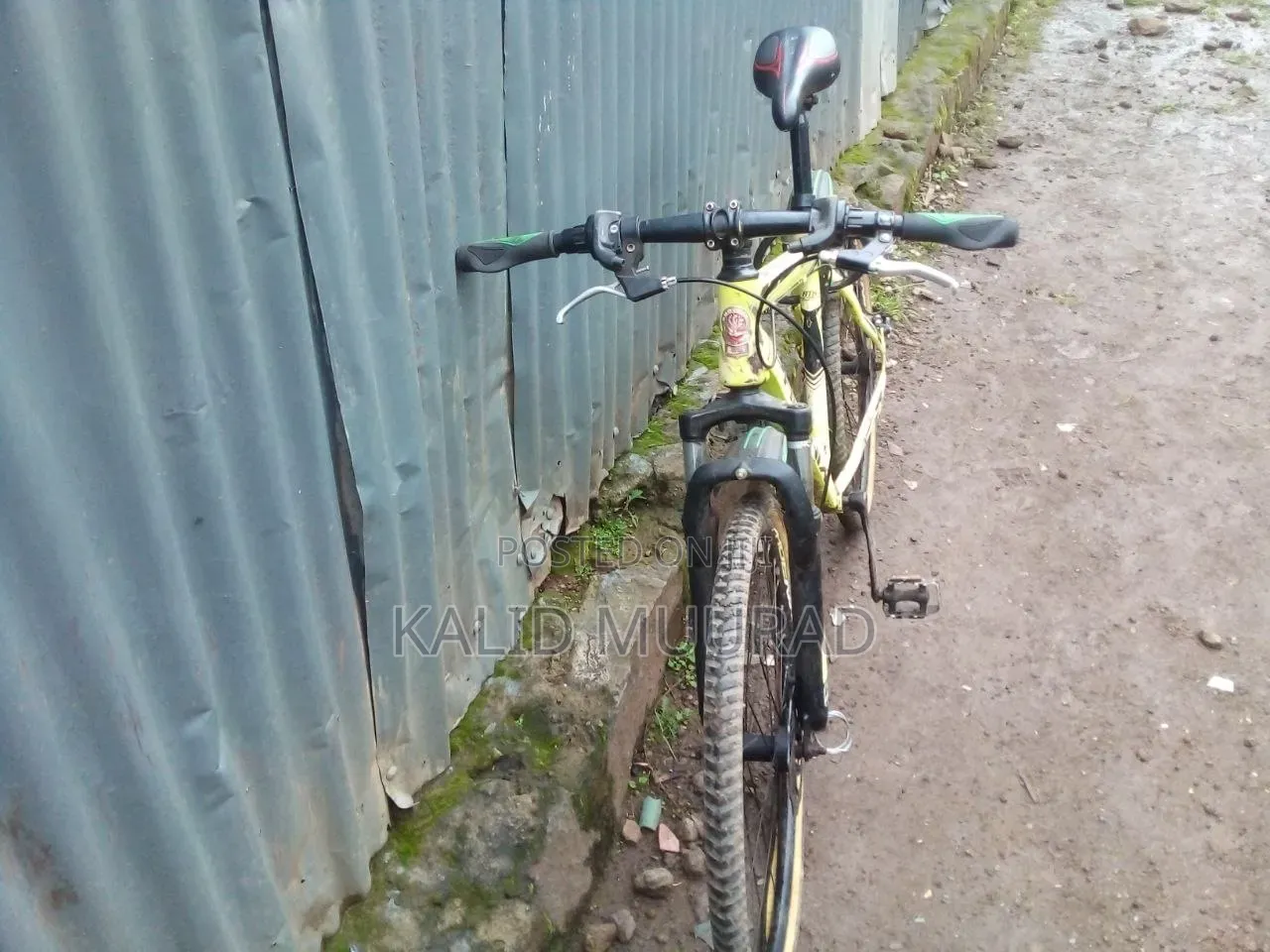 Bicycle Bike