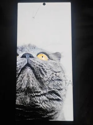 Samsung Galaxy S23 Ultra 512 GB Black