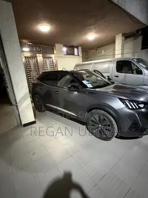 Peugeot 2008 2022 Gray