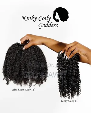 Afro Kinki Wig