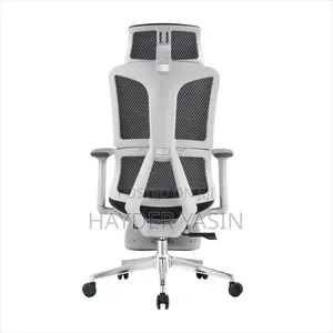 Ergonomi Chair
