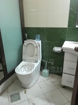 Studio Apartment in Real, Bole for rent