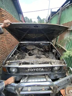 Toyota Land Cruiser 1985 Blue