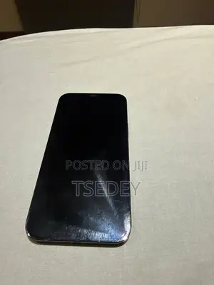 Apple iPhone 12 Pro Max 128 GB Black