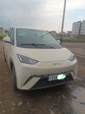 BYD Seagull 2024 White
