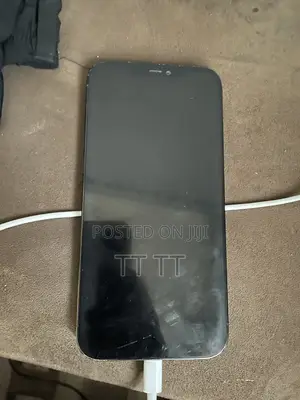 Apple iPhone 12 Pro Max 256 GB Blue