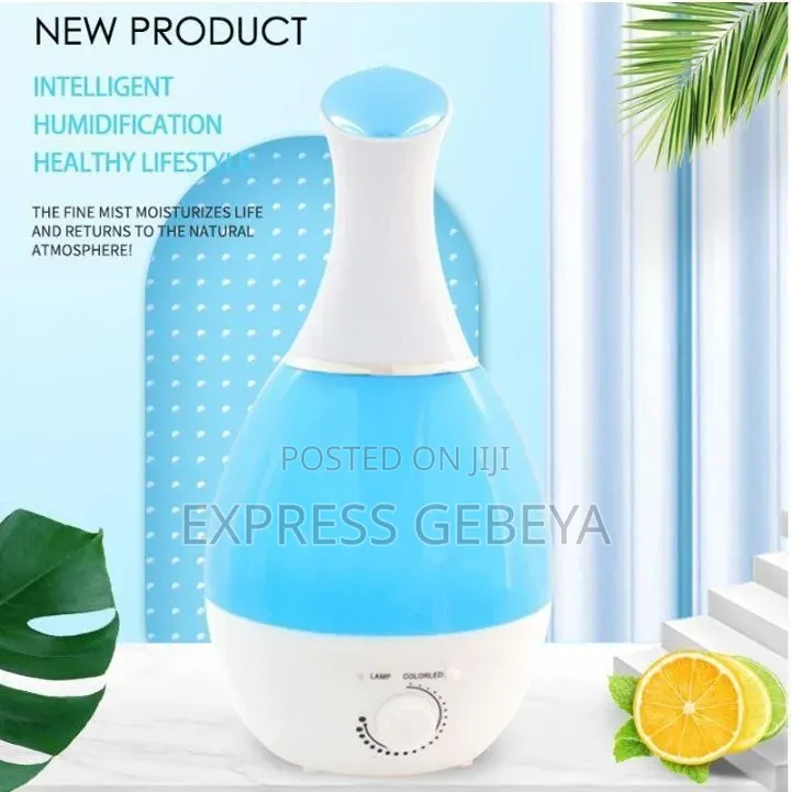 Ultrasonic Humidifier