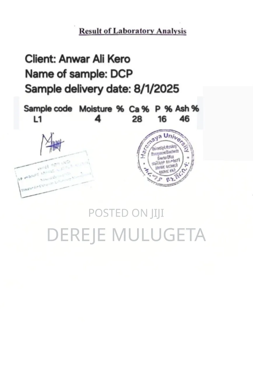 Dicalcium Phosphate(DCP)