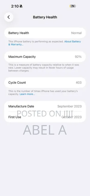 Apple iPhone 15 Pro Max 256 GB Silver