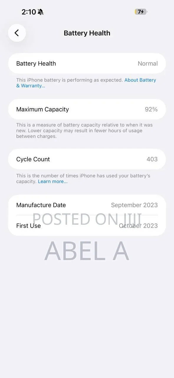 Apple iPhone 15 Pro Max 256 GB Silver