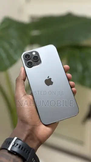 Apple iPhone 12 Pro Max 256 GB Black