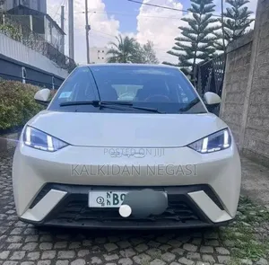 BYD Seagull 2025 Off white