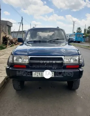Toyota Land Cruiser 1994 Blue
