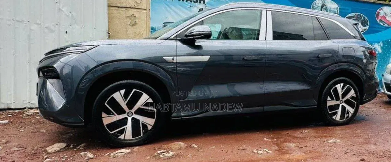 BYD Song L DM-i 2025 Silver