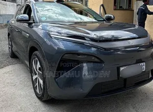 BYD Song L DM-i 2025 Silver