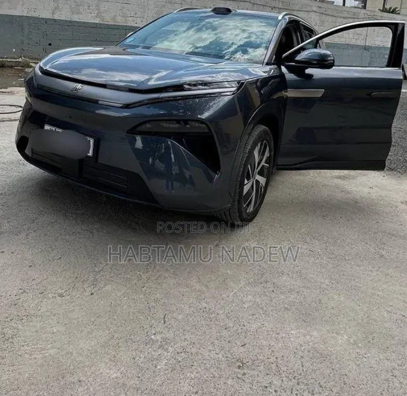 BYD Song L DM-i 2025 Silver