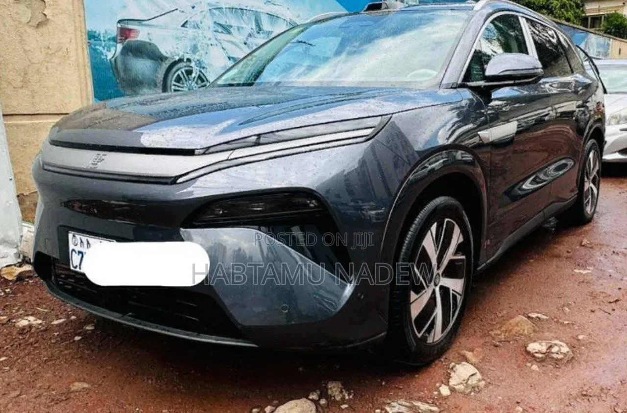 BYD Song L DM-i 2025 Silver