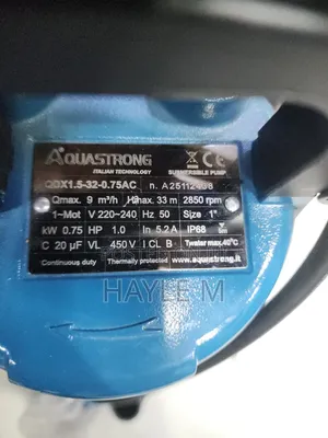 Aquastrong Submersible(Qdx.1hp)water Pump