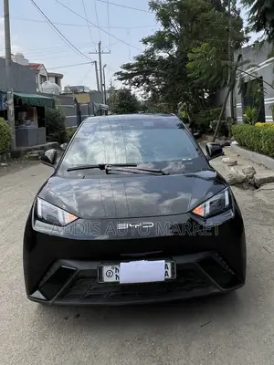 BYD Seagull 2024 Gray