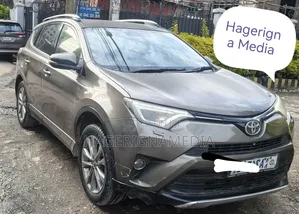 Toyota RAV4 2016 Gray