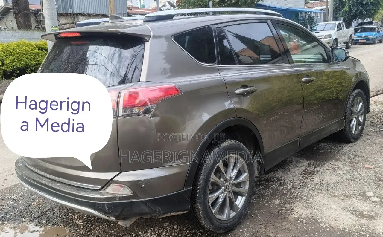 Toyota RAV4 2016 Gray