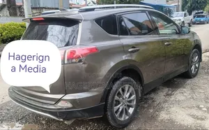 Toyota RAV4 2016 Gray