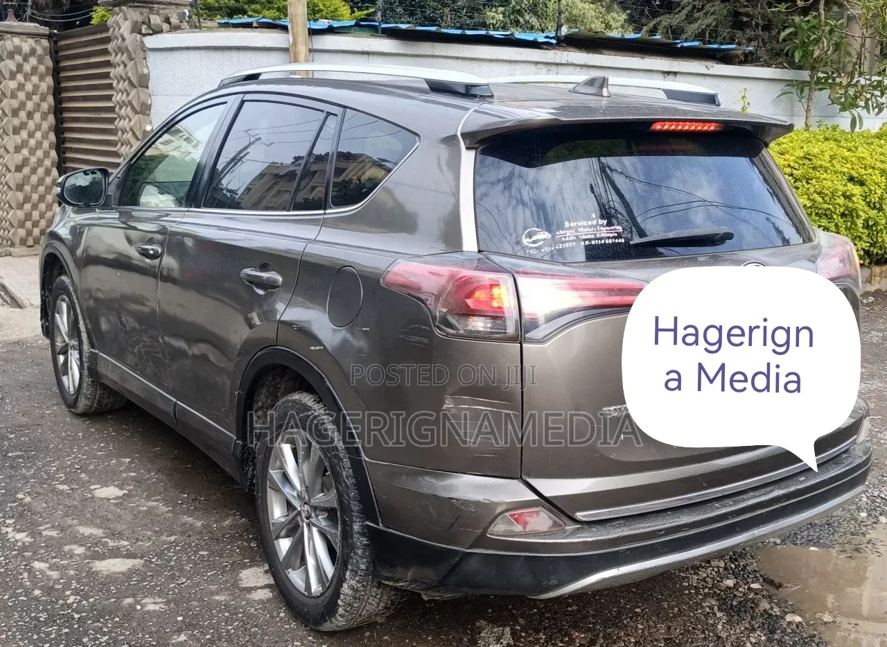 Toyota RAV4 2016 Gray