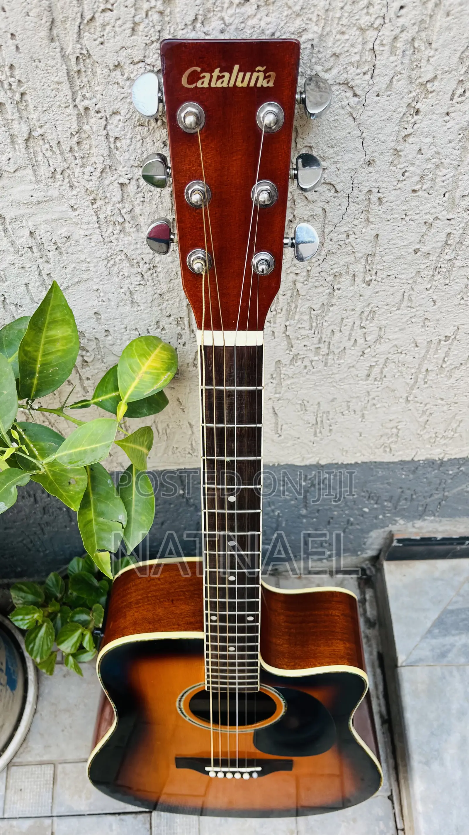 Eletric Box Guitar