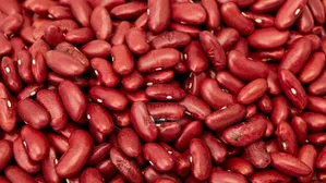 Red Kidney Pea Bean