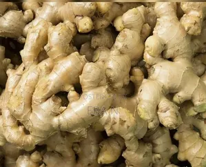 Ginger Bulk