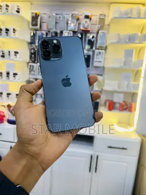 Apple iPhone 13 Pro Max 128 GB Gray