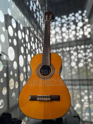 Guitar Nilon