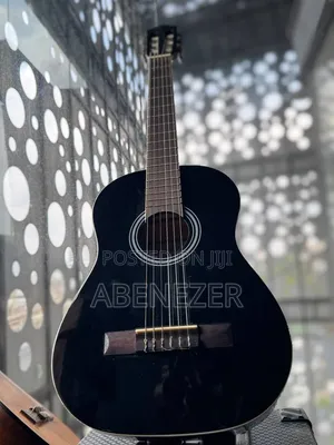 Guitar Nilon