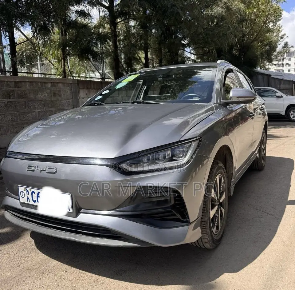 BYD E2 43 kWh 94 hp FWD 2024 Silver