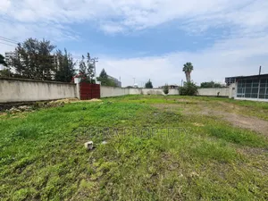 Land for Rent