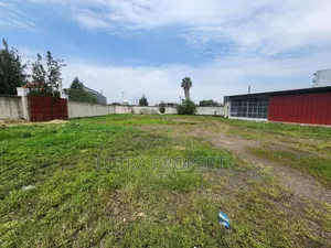 Land for Rent