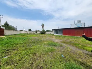 Land for Rent