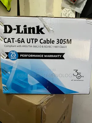 D-Link Cat6A Network Cable