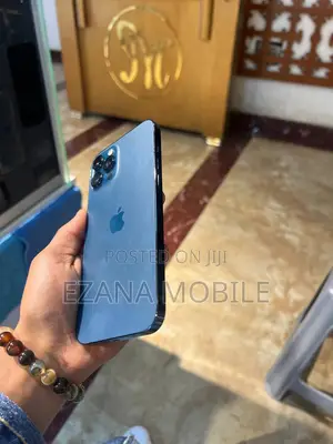 Apple iPhone 12 Pro Max 256 GB Blue
