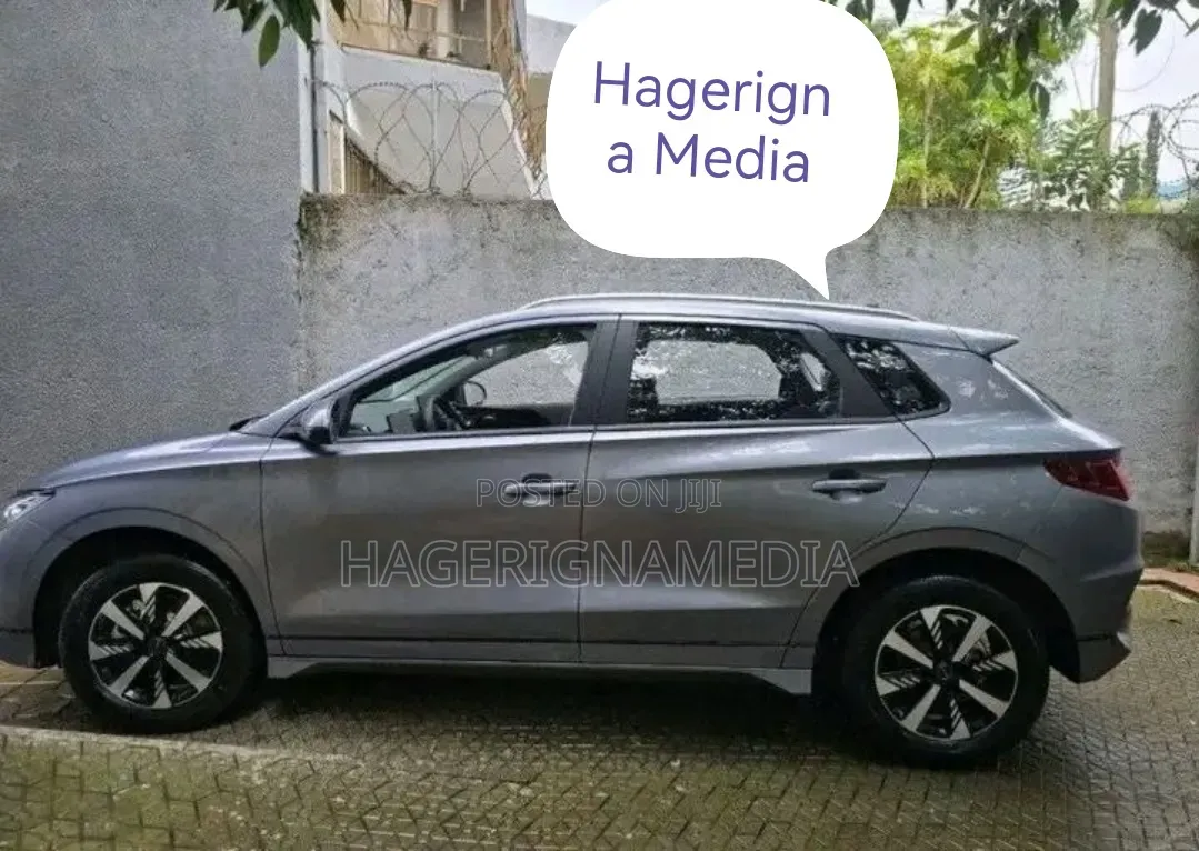 BYD E2 43 kWh 94 hp FWD 2025 Gray