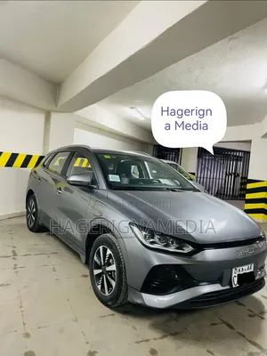 BYD E2 43 kWh 94 hp FWD 2024 Gray
