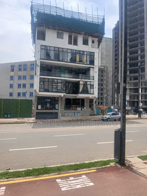 1million ገቢ አለው