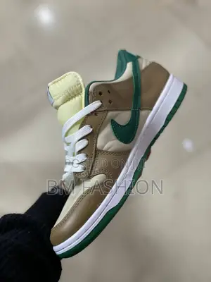 Air Jordan 1 Low SB Dunk Multicolor Mens