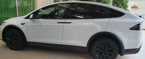 New Tesla Model X 2024 White