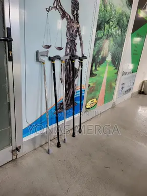 Walking Stick瑩綽cane Aid=various Indoor and Outdoor Surfaces.
